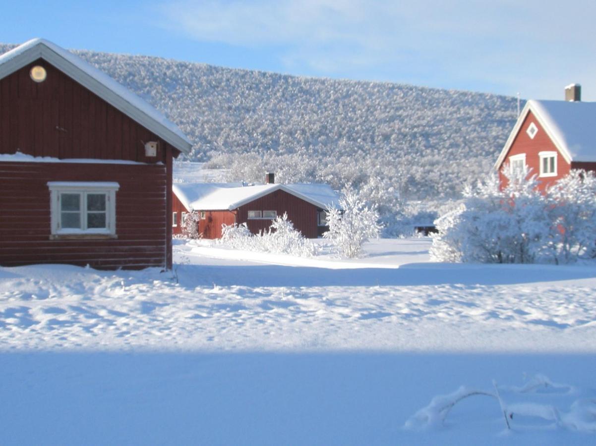 Varanger Kite Camp Austertana 外观 照片